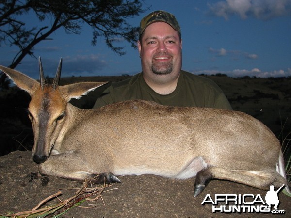 Hunting Duiker in Kwa-Zulu Natal, SA