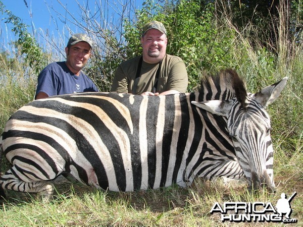 Hunting Zebra in Kwa-Zulu Natal, SA