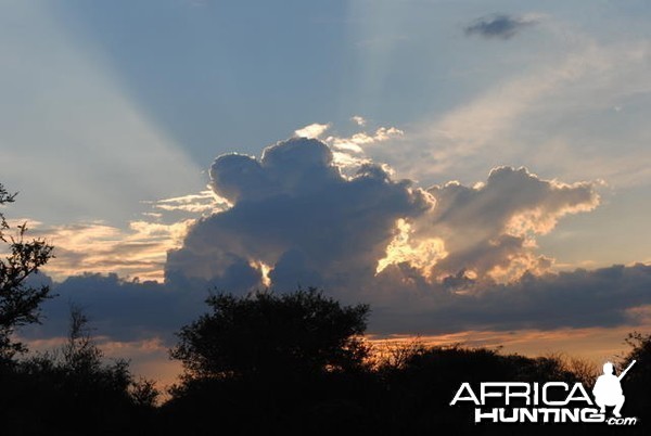 South African Sky