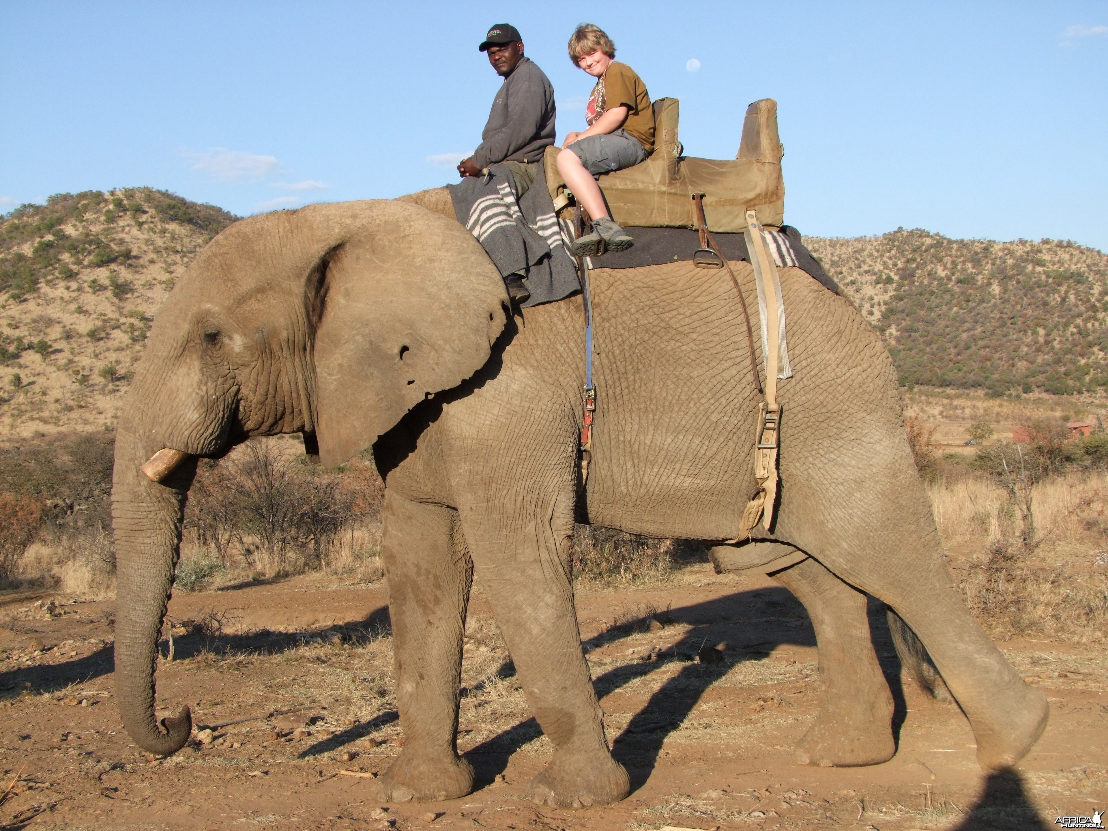 2010 RSA Elephant Ride