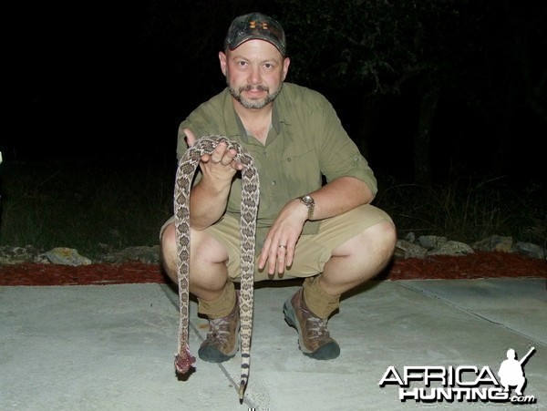 Rattle Snake 2010 Texas