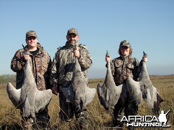 2011 Texas Sandhills