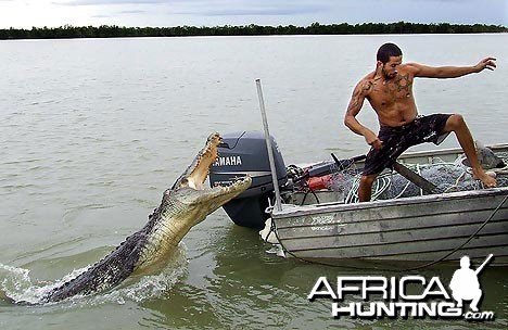 Croc attack