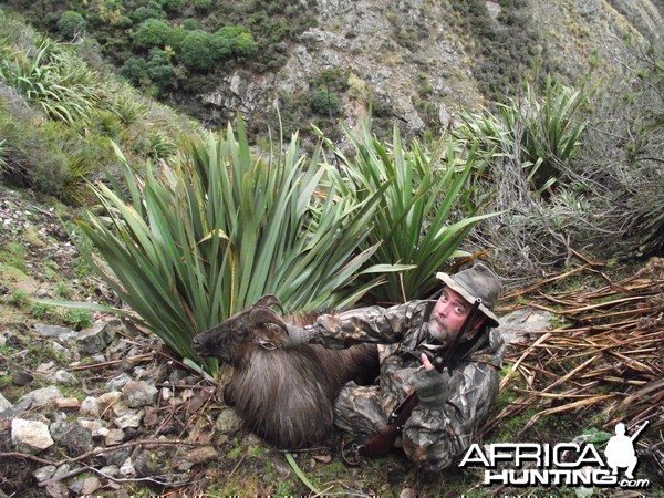 New Zealand Hunt