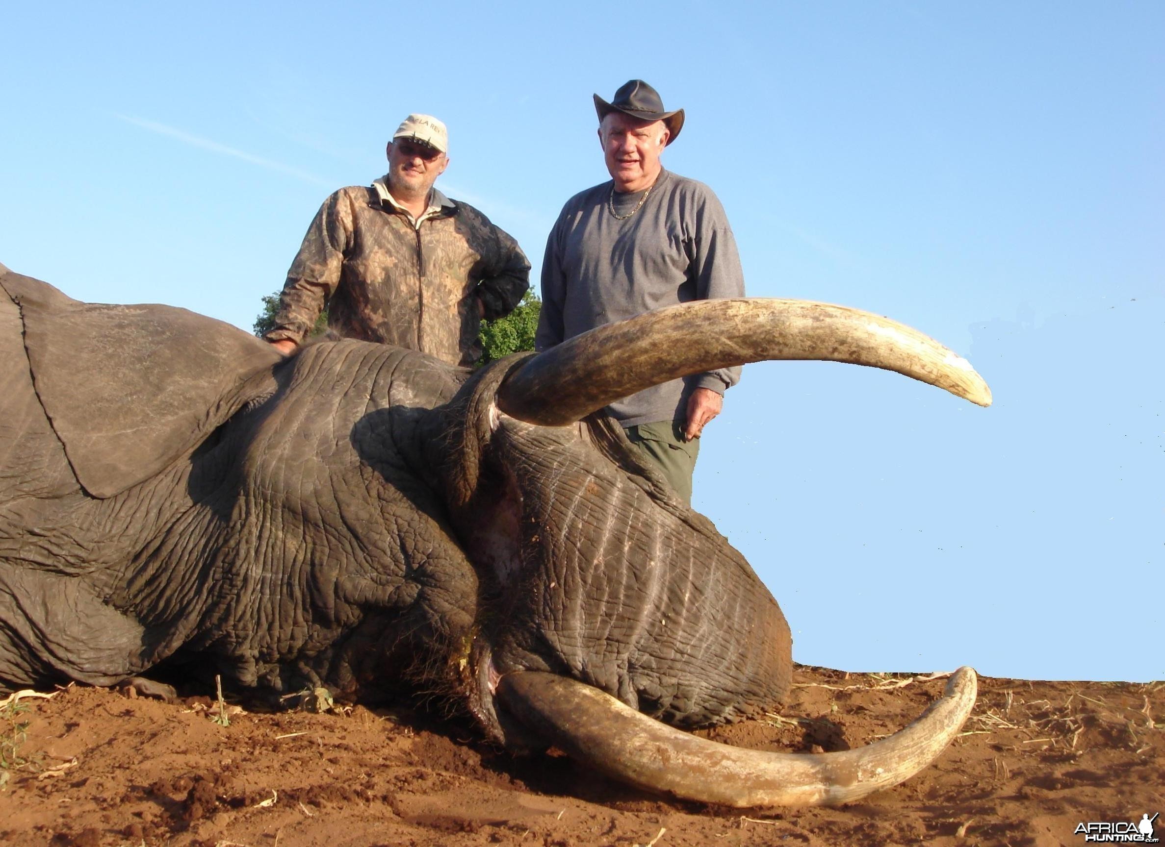 Elephant Hunt