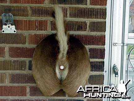 Redneck doorbell