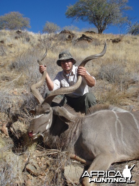 Kudu bull Kommas Hochland Namibia