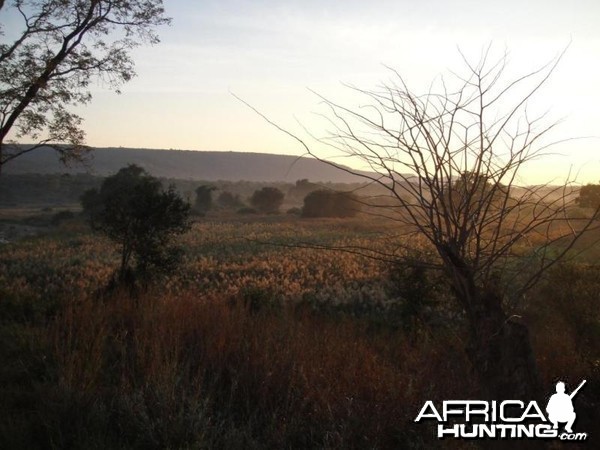 Early morning in the Chifudze camp Zimbabwe