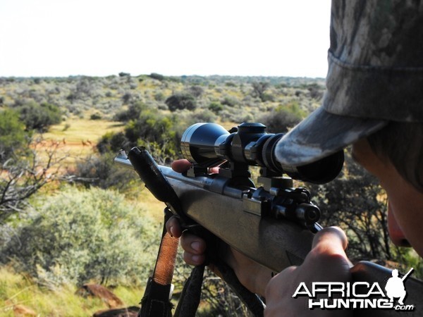 My brother aiming at an Impala ram behind ll those nice hartebeest bulls in