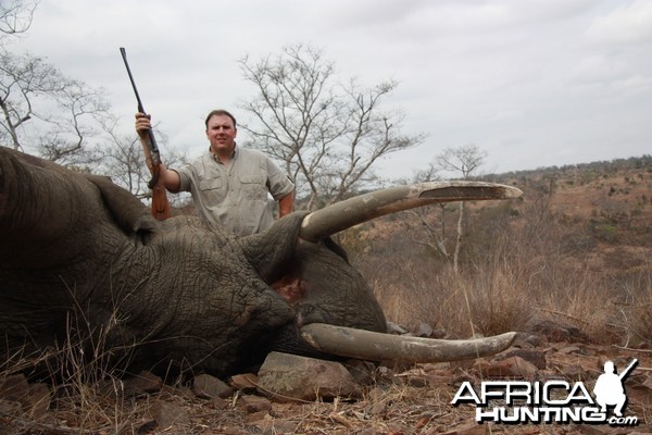 2009 Zambezi Hunters 78# elephant