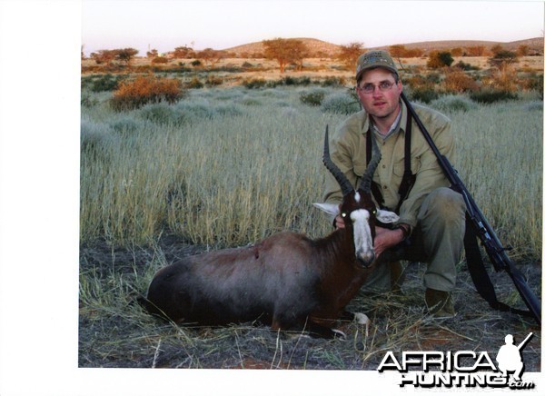 Blesbok Namibia