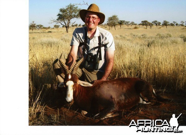 Blesbok Namibia