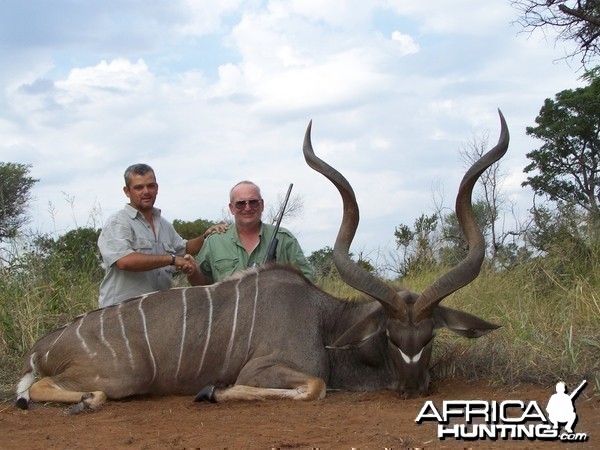 My South African Kudu  54&quot;