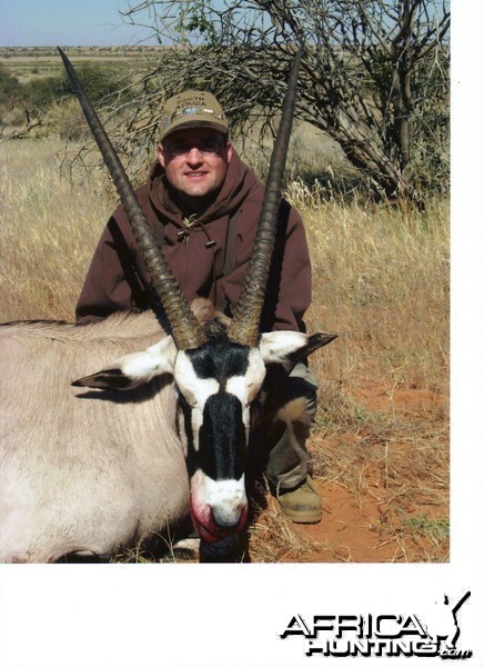 Gemsbok Namibia