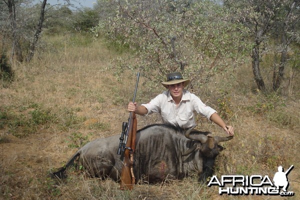 Wildebeest- Ellisras 2009