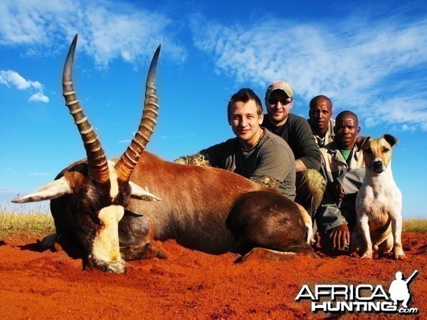 Alexei, his Blesbok and most of the gang.