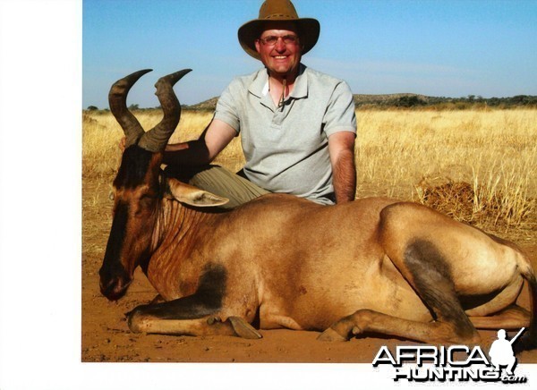 Red Hartebeest Namibia