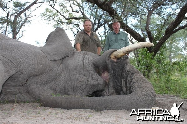 50 lbs Elephant hunted in the Caprivi Namibia