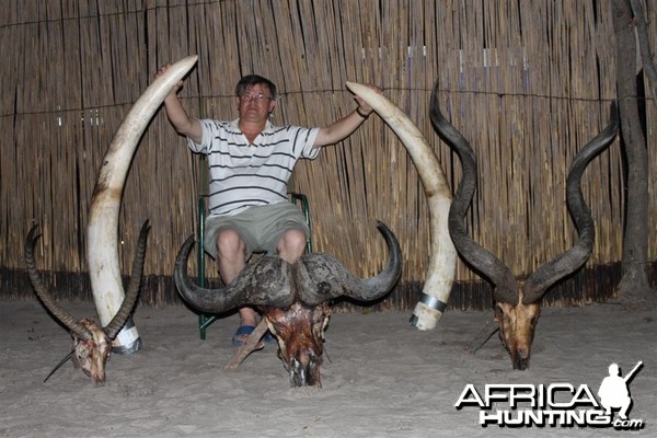 41 lbs Elephant hunted in the Caprivi Namibia