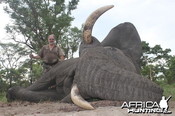 71 lbs Elephant hunted in the Kavango Namibia