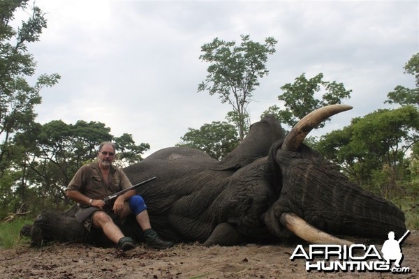 71 lbs Elephant hunted in the Kavango Namibia