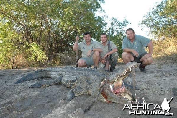 Chobe Croc