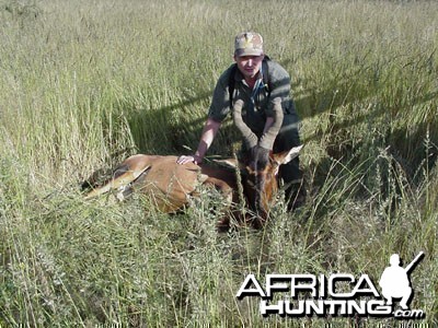 Namibia - Hartebeest