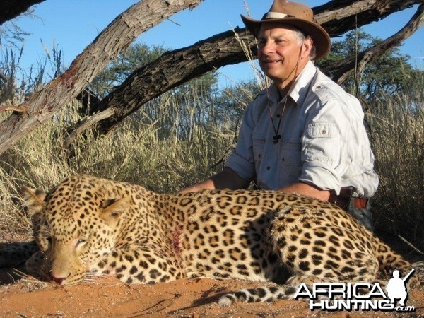 Kalahari Leopard