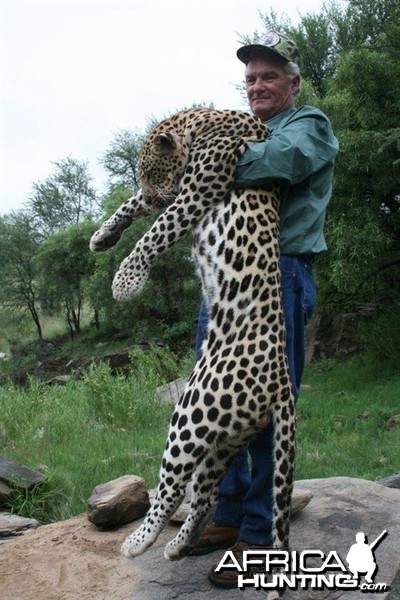 Khomas Hochland Leopard