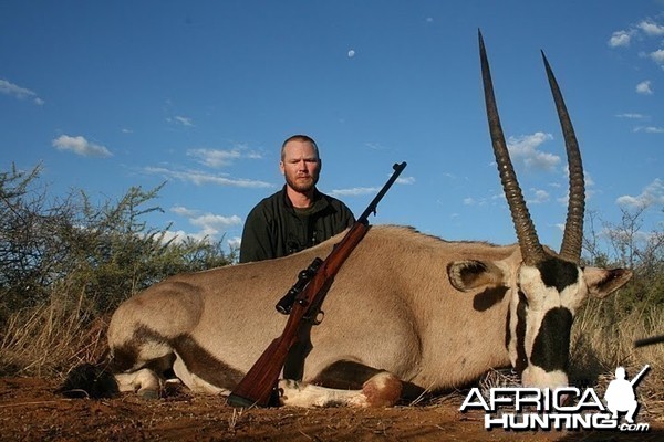 Gemsbok Namibia