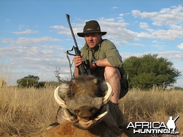 Warthog Namibia