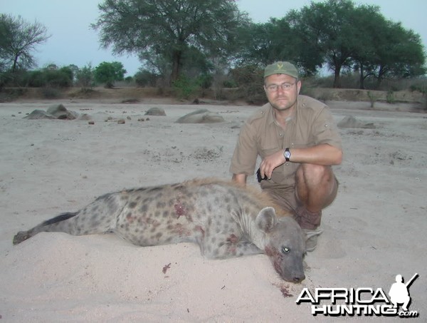 Spotted Hyena