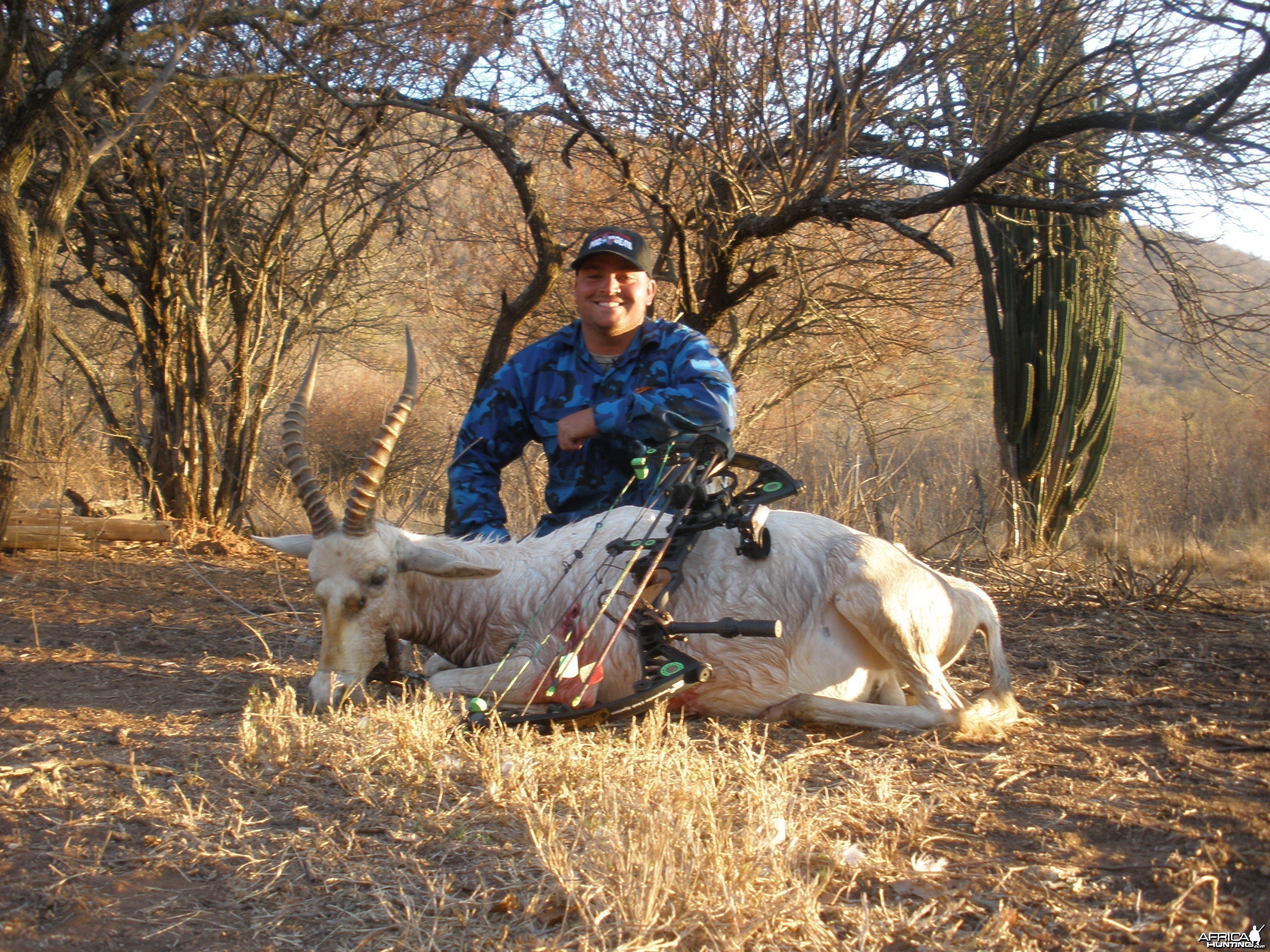 2010 White Blesbuck Mpumalanga Province