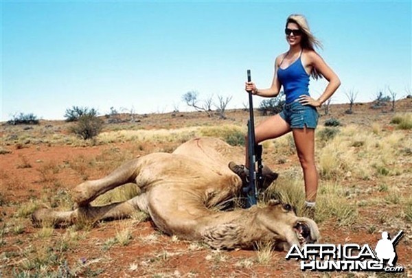 Babe Hunting Camel