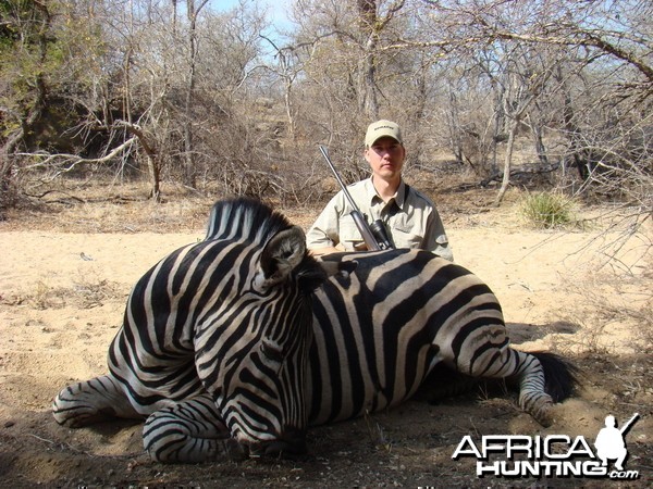 Hunting Zebra