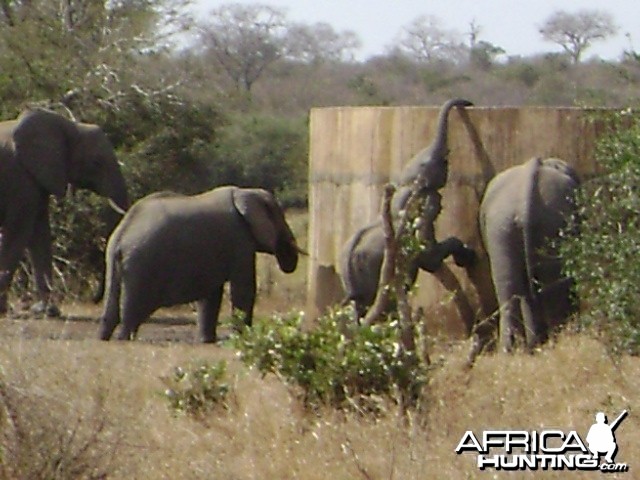 Looking for fresh water