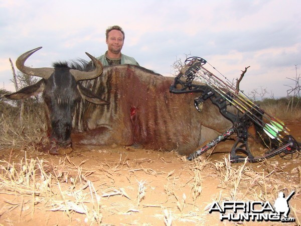 Wildebeest Leeukop Safaris