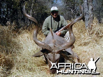 Greater Kudu Hunting