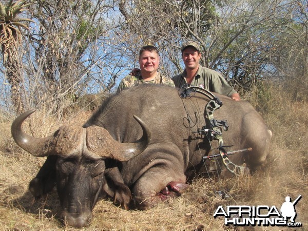 Cape Buffalo &quot;Walk and Stalk&quot; Leeukop Safaris