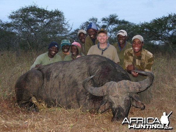 Zimbabwe Cape Buffalo