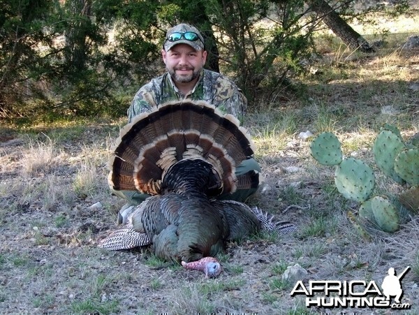 Hunting Turkey Texas 2009