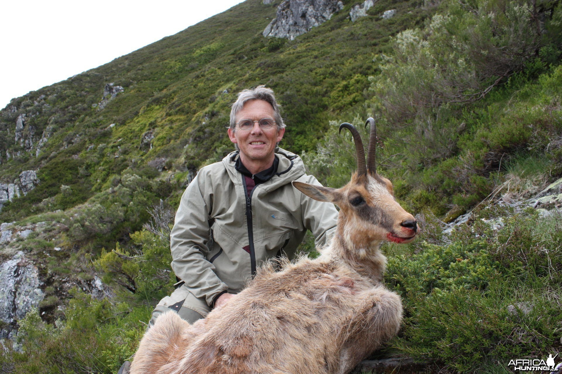 Hunting Chamois in Spain