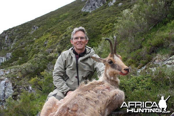 Hunting Chamois in Spain