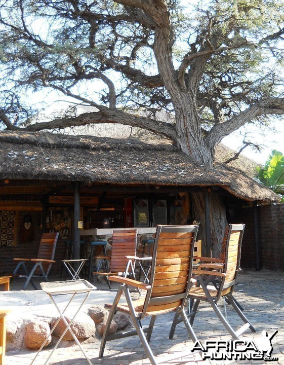 Lapa - Bar