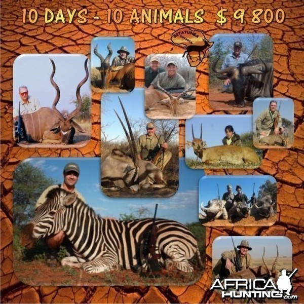 10 Day - 10 Animals