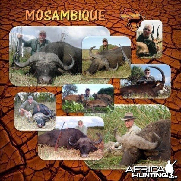 Mosambique Trophies