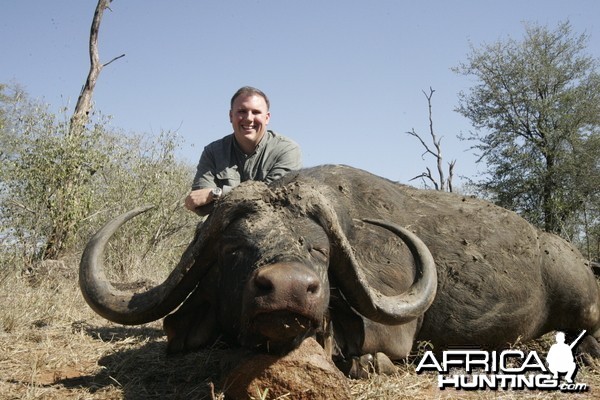 2011 Save Valley Buffalo