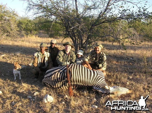 Namibia Zebra