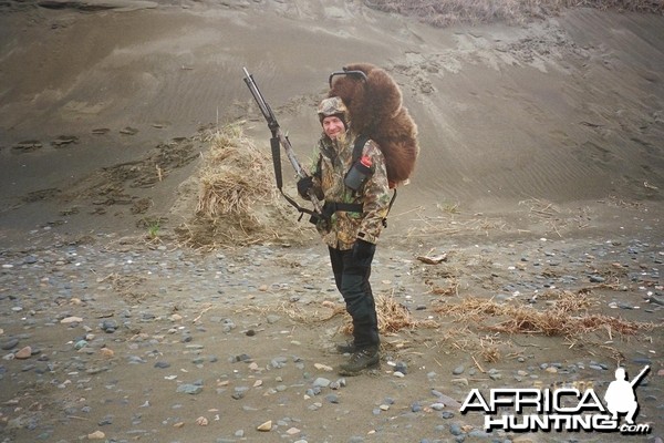 Alaska Brown Bear