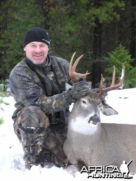 Montana Whitetail